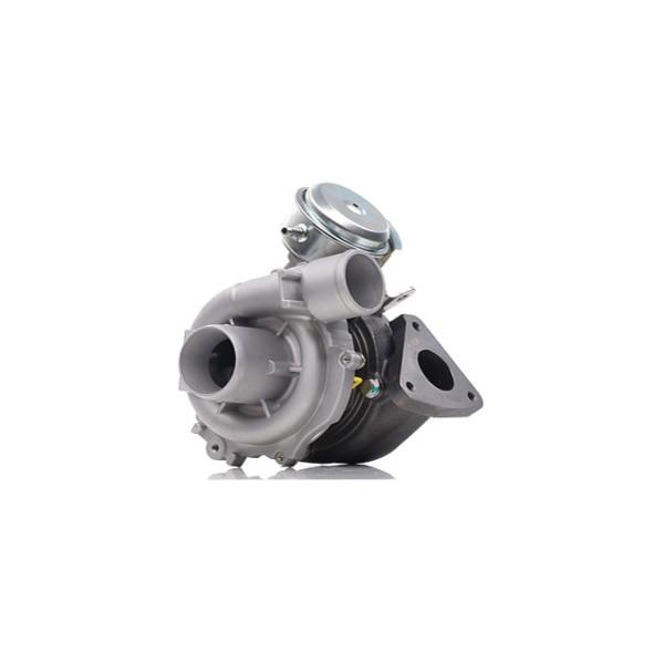 Turbo pour RENAULT Scenic 2 1.9 dCi 110 CV 755507-5009S - SL Turbo Neuf