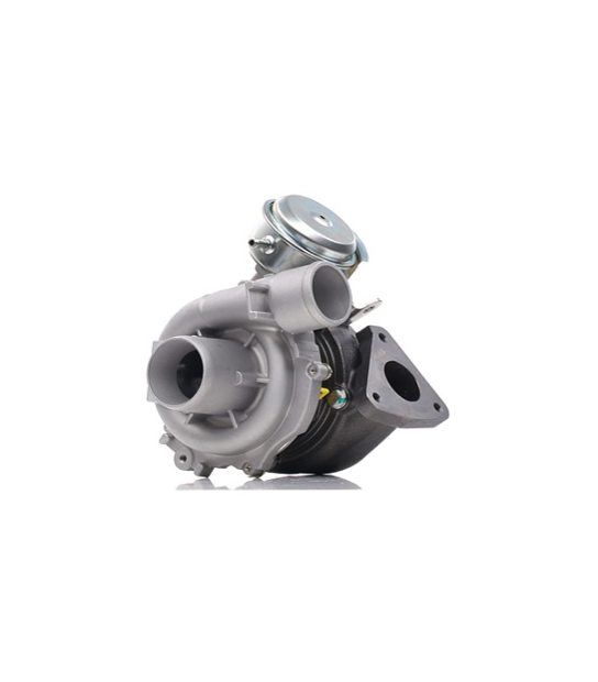 Turbo pour RENAULT Scenic 2 1.9 dCi 110 CV 755507-5009S - SL Turbo Neuf