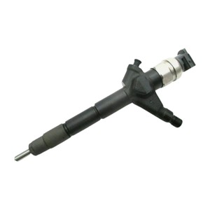 Injecteur pour NISSAN Pathfinder 2.5 dCi 163 CV - 095000-6250