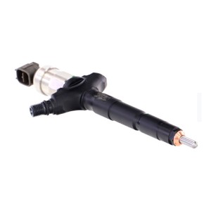 Injecteur pour RENAULT Vel Satis 3.0 dCi 177 CV - 095000036